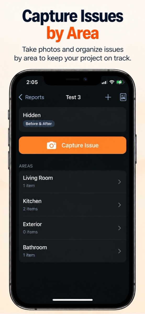 A report's areas with a Capture Issue button